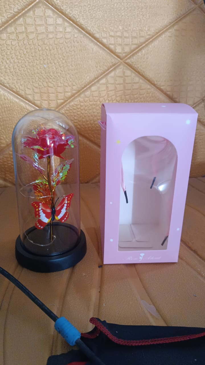 Elegant LED Eternal Rose in Plastic Dome (1 Pc / Battery Not included) Elegant LED Eternal Rose in Plastic Dome (1 Pc / Battery Not included)